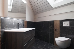 Wolfwil_Baustelle_Homann20230330_web0076